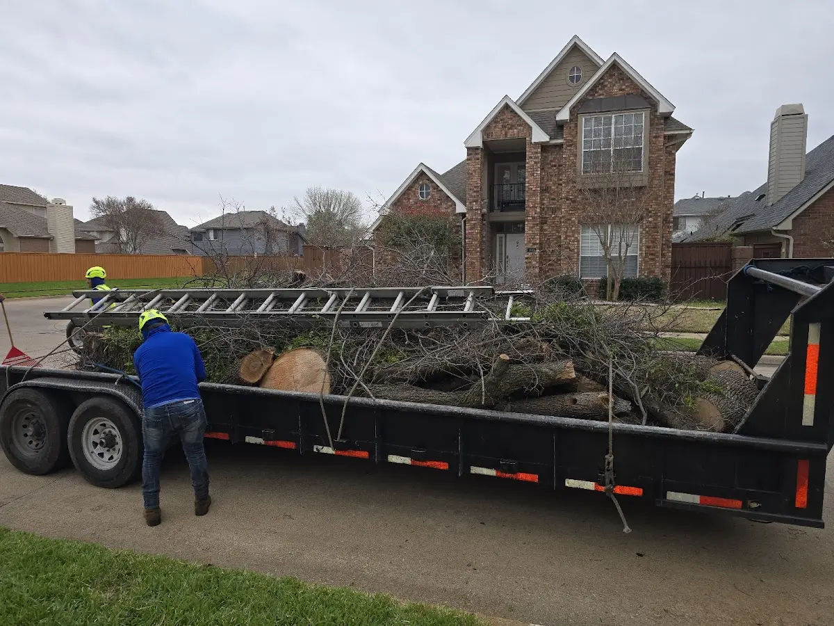 Expert Tree Fertilization with proper safety equipment in Colony